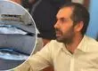 Recurren a la justicia para suspender la captura de Sardina en la Región del Biobío