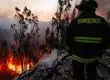 Alerta Roja en La Araucanía: Senapred emite doble orden de evacuación en sectores de dos comunas por incendios forestales