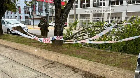 Tragedia en Puerto Montt: Mujer muere tras caída de árbol durante sistema frontal y fuertes vientos en Los Lagos
