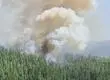 SENAPRED declara alerta roja en Nacimiento: solicitan evacuación en sector La Generala por incendios