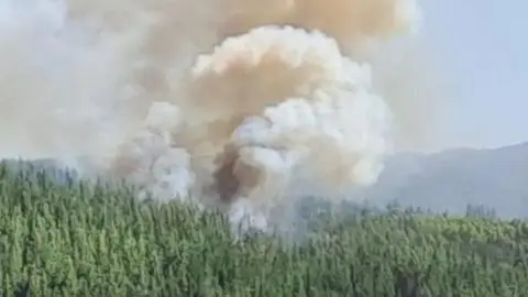 SENAPRED declara alerta roja en Nacimiento: solicitan evacuación en sector La Generala por incendios