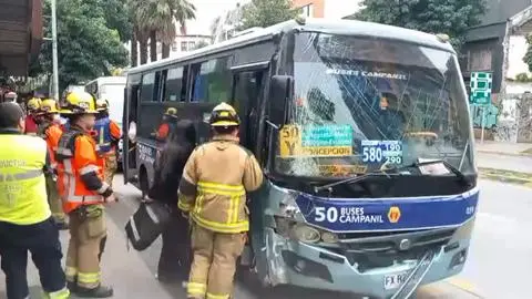 Micro chocó contra un árbol y el chofer huyó a pie por Concepción: Pasajeros heridos quedaron tendidos en pasillo del bus