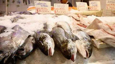 ¿Dónde comprar pescados y mariscos frescos para Semana Santa en el Biobío?