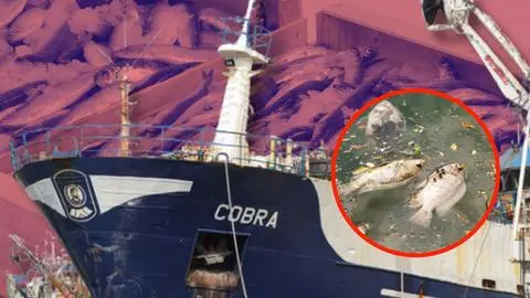 La otra muerte que involucró al PAM Cobra y su capitán