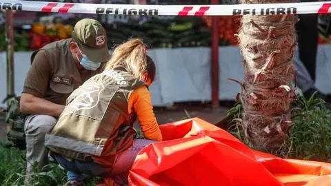 Supuestos cráneos hallados en feria de Macul estaban hechos de plumavit