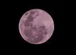 De Luna Roja a Luna Rosa en Concepción: La explicación detrás del nuevo fenómeno no tan inusual en los cielos del Biobío