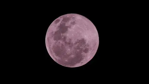 De Luna Roja a Luna Rosa en Concepción: La explicación detrás del nuevo fenómeno no tan inusual en los cielos del Biobío