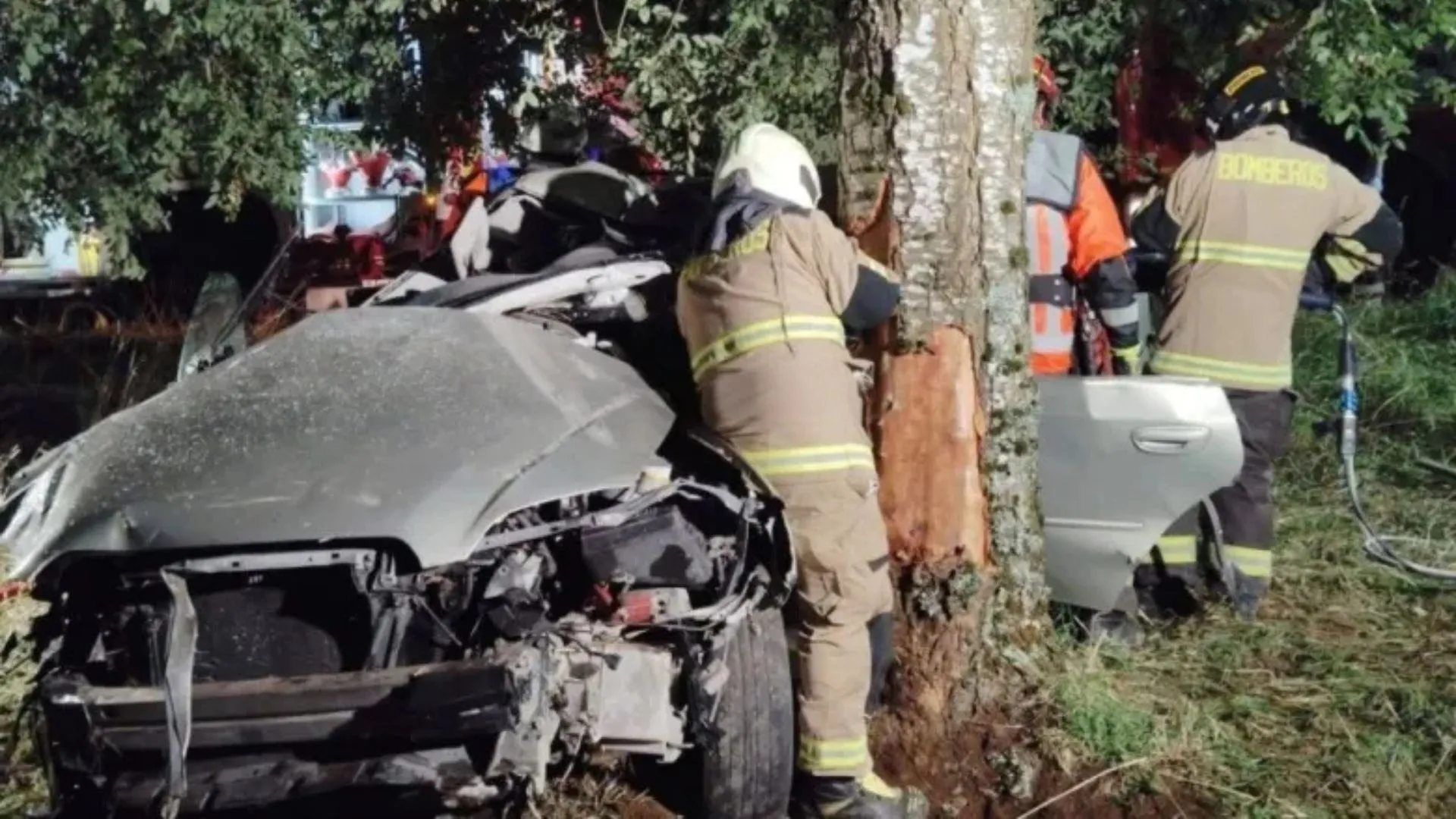 Vehículo chocó contra un árbol: Conductor y acompañante fallecen tras grave accidente en sector rural de Futrono