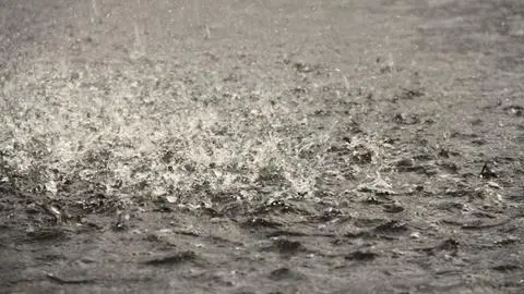 Alerta por fuertes lluvias en el sur de Chile: Estas son las zonas que recibirían hasta 70 mm este martes
