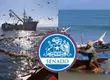 Tras aprobación en el Senado como avanza la Ley de Fraccionamiento: ¿Cuánto para la pesca industrial y artesanal?