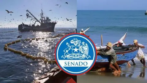 Tras aprobación en el Senado como avanza la Ley de Fraccionamiento: ¿Cuánto para la pesca industrial y artesanal?