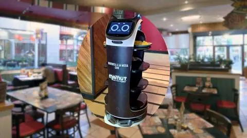 Un tierno garzón robot llegó a restaurante del Gran Concepción: “Miau, aquí estoy”