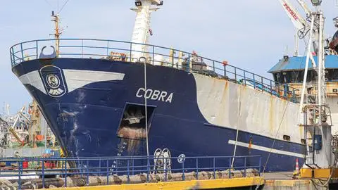 Pese a prohibición de zarpe: Blumar pide asignar cuota de jurel para el Cobra