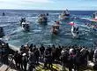 “Es un golpe de timón”: Las lecciones en seguridad marítima que deja la búsqueda de la Bruma