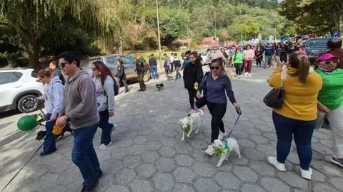 Más de 800 perros participaron de Caminata Canina de Carabineros en Concepción