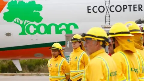 Sale Conaf y entra Servicio Nacional Forestal: ¿En que consiste la nueva entidad?