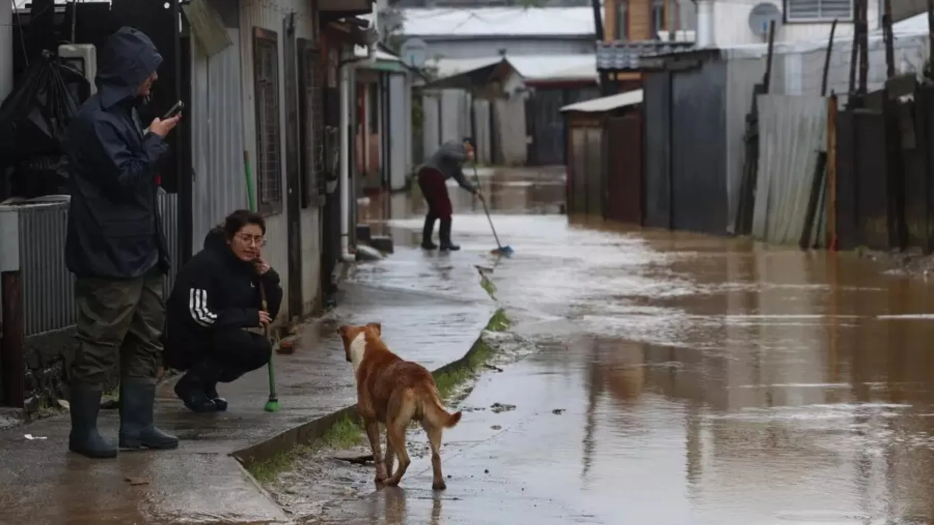 70 viviendas y 250 personas aisladas por intensas lluvias en Pucón: Declaran Alerta Roja en la comuna