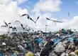 “No queremos más basura”: Autoridades del Biobío piden cerrar puerta a residuos de La Araucanía