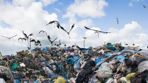“No queremos más basura”: Autoridades del Biobío piden cerrar puerta a residuos de La Araucanía