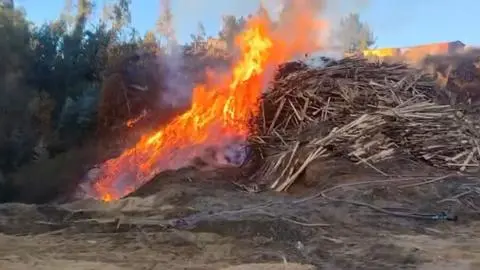 Incendio en aserradero de Constitución genera gran columna de humo: Podría tardar días en apagarse