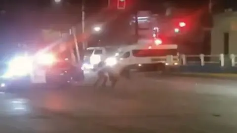 Ternero que embistió a carabinero en San Bernardo se hace viral