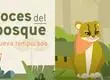 “Voces del Bosque”: Conoce la ágil y escurridiza vida de la güiña