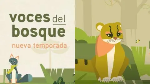 “Voces del Bosque”: Conoce la ágil y escurridiza vida de la güiña