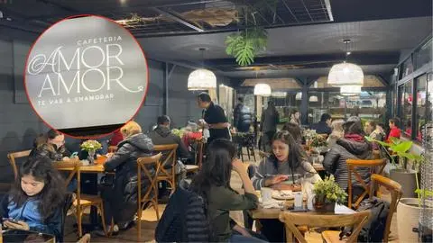 “Amor Amor”: Cafetería abre sus puertas para vecinos de Concepción y sus mascotas