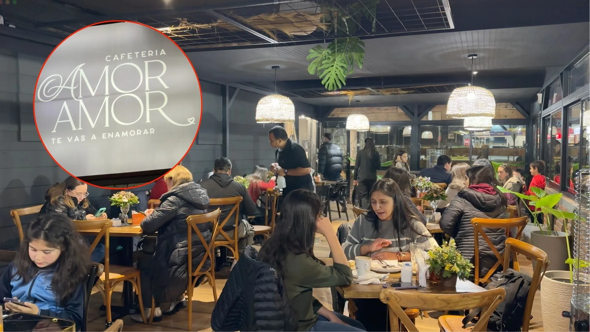 “Amor Amor”: Cafetería abre sus puertas para vecinos de Concepción y sus mascotas