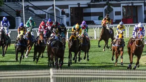 Suspenden jornada de carreras en Hipódromo de Chile por accidente que dejó un caballo muerto y múltiples jinetes heridos