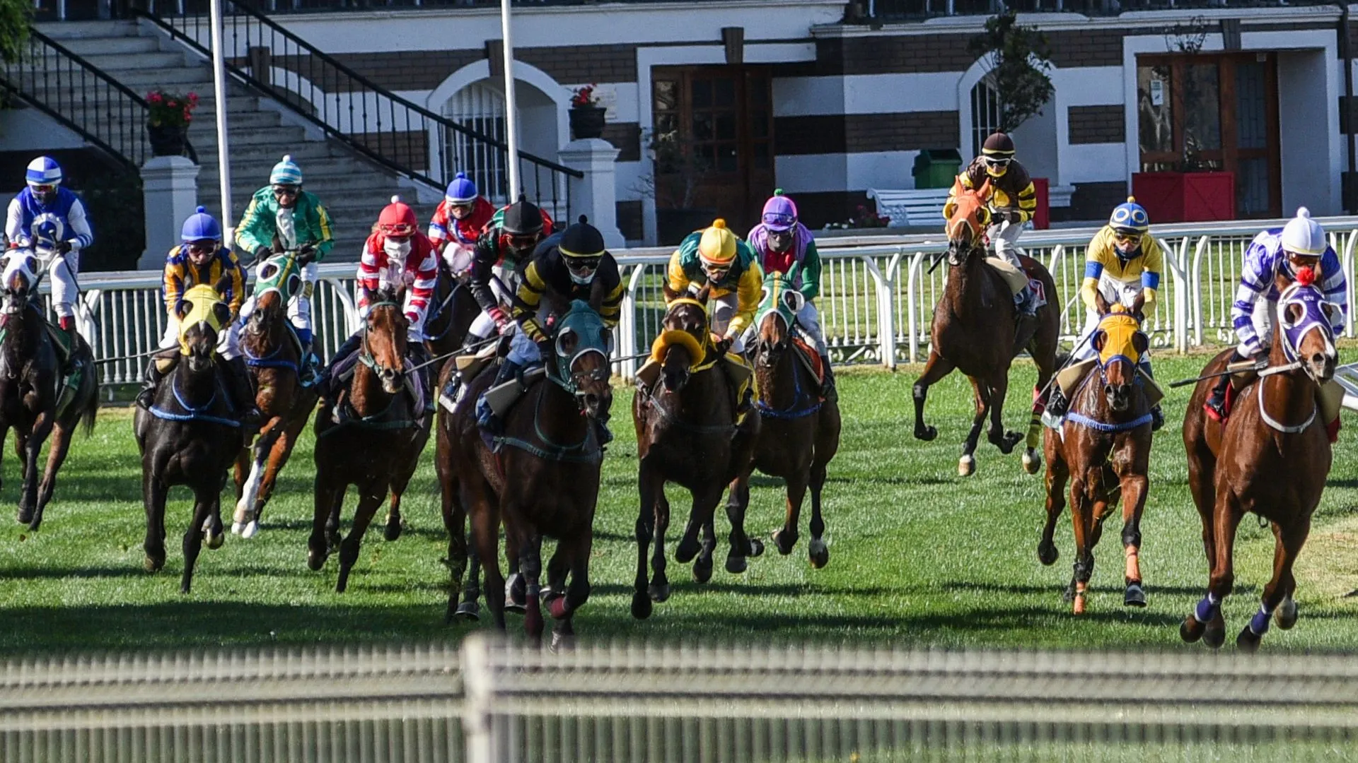 Suspenden jornada de carreras en Hipódromo de Chile por accidente que dejó un caballo muerto y múltiples jinetes heridos