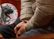 Justicia resuelve que hombre condenado por matar a perro en Punta Arenas nunca podrá volver a tener una mascota