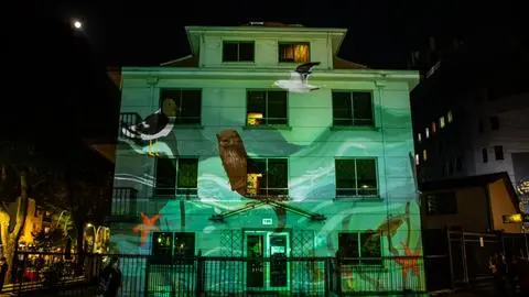 Vuelve la proyección lumínica de “Habitantes de la Naturaleza” y “Recados Luminosos” en Concepción