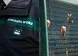 Ella fue suspendida y él sigue en prisión: La historia de amor entre una gendarme y un reo en Valdivia