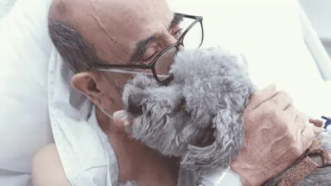 “Quiero estar un poco más de tiempo con él”: Pacientes críticos podrán recibir la visita de sus mascotas en hospital de Chile
