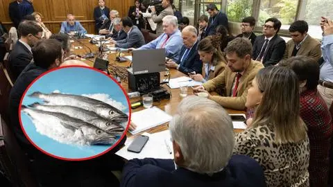 Ley de Fraccionamiento pesquero: Esto es lo que resolvió la comisión mixta