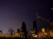 Lluvia de estrellas por restos del cometa Halley será visible en todo Chile: Fecha y horarios