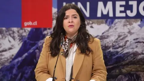 Tendrá un plazo de 14 semanas: En qué consiste el proyecto de ley de aborto presentado al Congreso