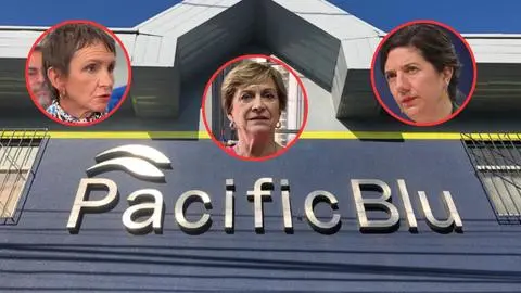 “Es intolerable”: Las reacciones que deja el cierre de Pacific Blue y la entrega de datos erróneos en la tramitación de la Ley de Fraccionamiento