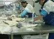PacificBlu anunció el cierre de sus operaciones: Más de 800 trabajadores se verían afectados