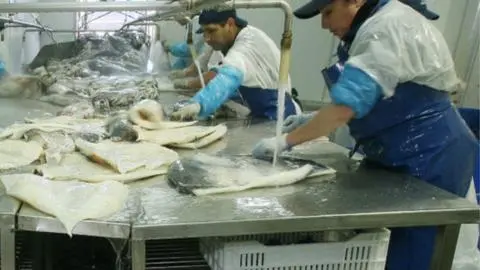 PacificBlu anunció el cierre de sus operaciones: Más de 800 trabajadores se verían afectados