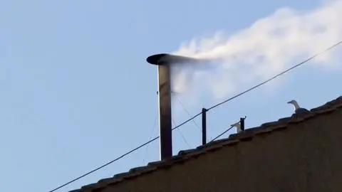 Salió humo blanco por el nuevo Papa que será el sucesor de Francisco