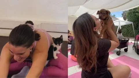 Haz yoga en Chile con gatitos y perritos que también puedes adoptar