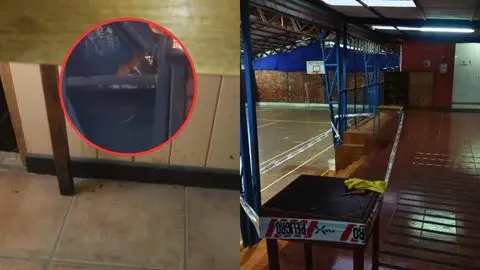 Denuncian abandono en liceo del Biobío: Ratones, goteras y suciedad abundan en establecimiento de Florida