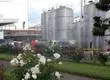 Nestlé cerrará histórica fábrica que hace 67 años funcionaba en Chile