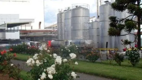 Nestlé cerrará histórica fábrica que hace 67 años funcionaba en Chile