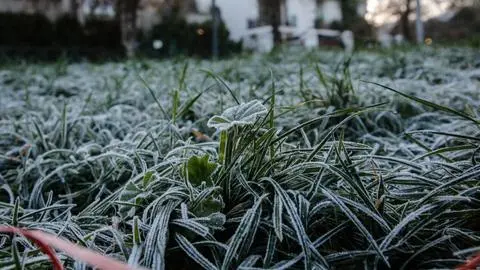 El día más frío en lo que va del año: Meteorología registró -3,3°C en el Biobío