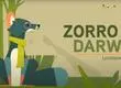 Zorro de Darwin: La historia del animal chileno que el científico identificó en la Isla de Chiloé