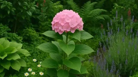 Según el Feng Shui: La planta que atrae la mala suerte y la soledad