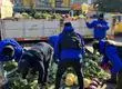 Descubren locales establecidos funcionando como “bodegas” secretas para los ambulantes ilegales del centro de Concepción